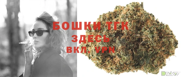 прущие грибы Балабаново