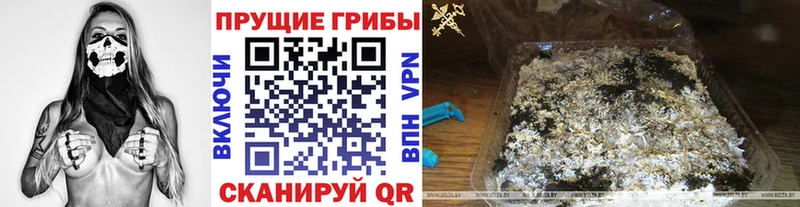 даркнет как зайти  наркота  Кизилюрт  Псилоцибиновые грибы GOLDEN TEACHER 